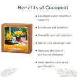 GreenEarth Cocopeat for Plants (5kg) | Expands Upto 75 litres of Powder | Garden Soil | Organic Bricks for Plants - Image 2