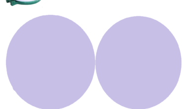 Mica Plate for Roti Maker Pathiri Press| Roti Maker Replacement Kit|Heat Resistant Insulation Sheet for Roti Maker Repair